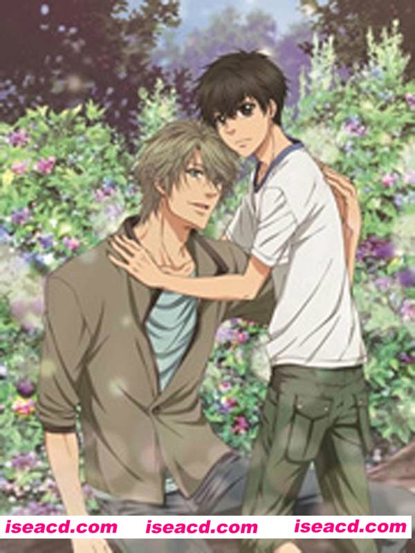 《Super Lovers第二季》[2017][日本][日语简繁][11集全][720P/1.96G][百度云网盘]