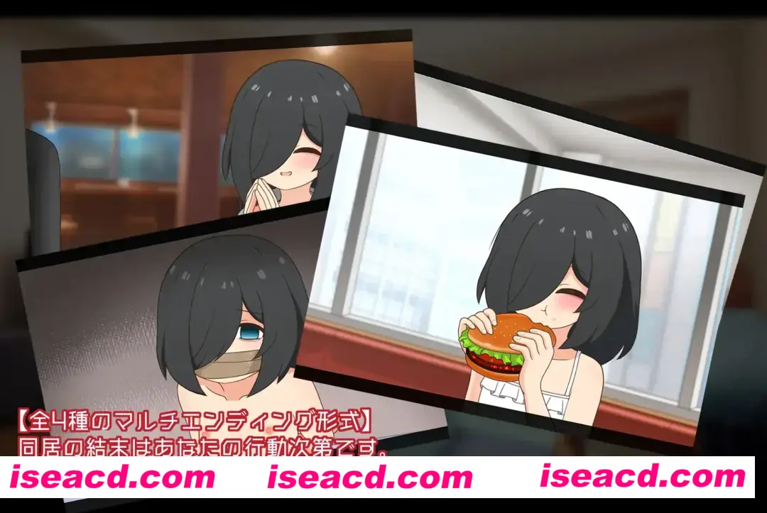 【日式SLG/汉化/PC+安卓】失忆少女(Little sister）[叶酱内嵌汉化版]【500M/新作】