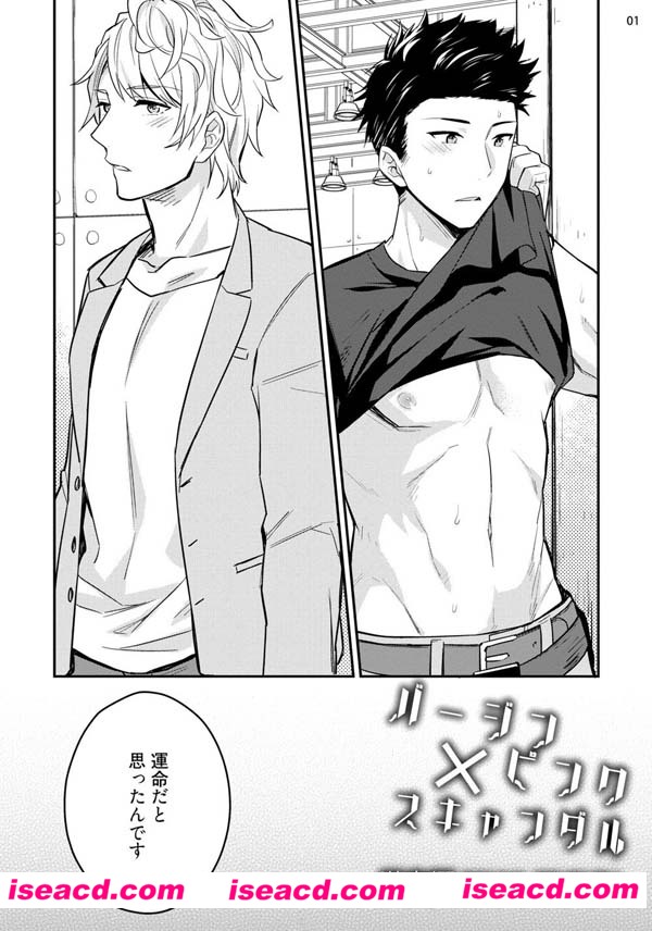 {Virgin Pink Scandal}[漫画]【百度云】[未汉化][百度盘]