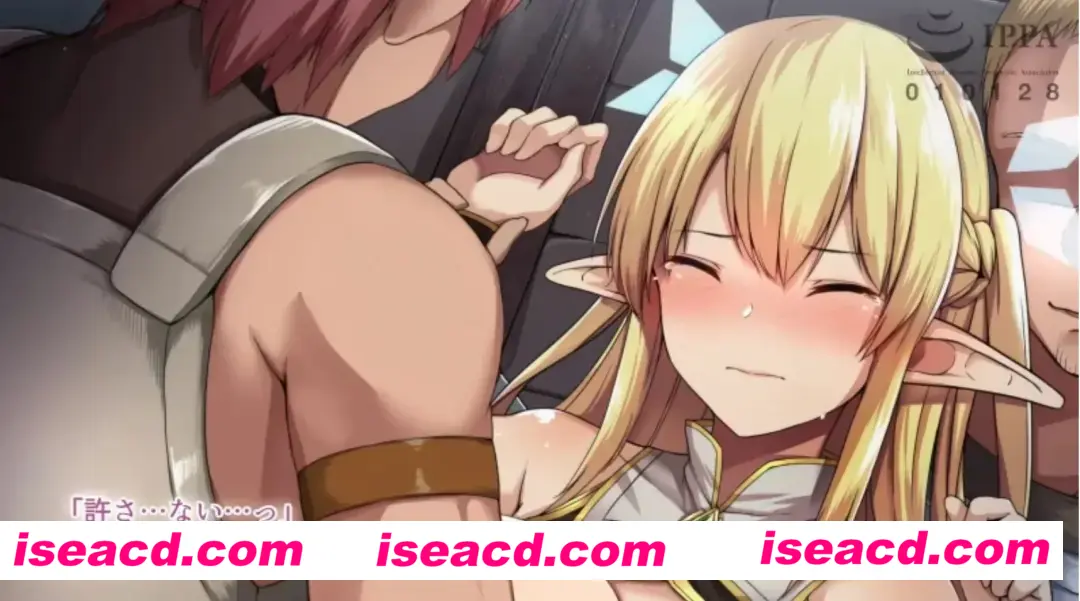 【2D动画/中文/全动态】ハメられONLINE The 中文字幕30分钟版【3.9G/全CV】