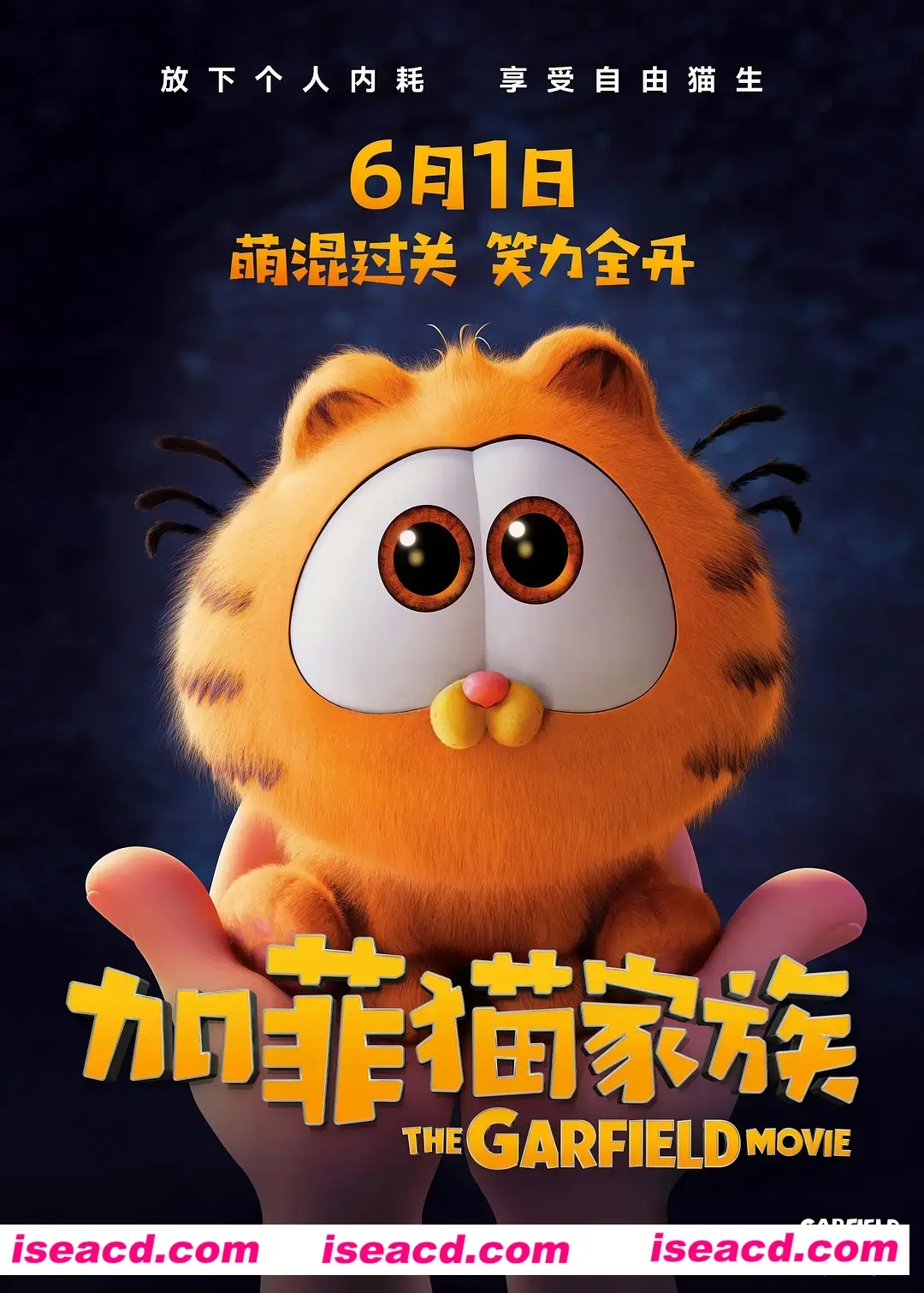 【影视资源/中字/非枪版】加菲猫家族/The Garfield Movie 中字1080P完整版【8.9G/全CV】