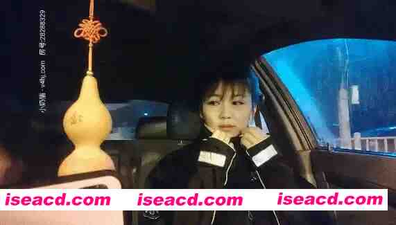 [视频/中文/全系列合集]  91 骚飘飘系列：专业搞鸡/洗浴会所勾搭技师/专业约留守少妇 36部合集 [80G]