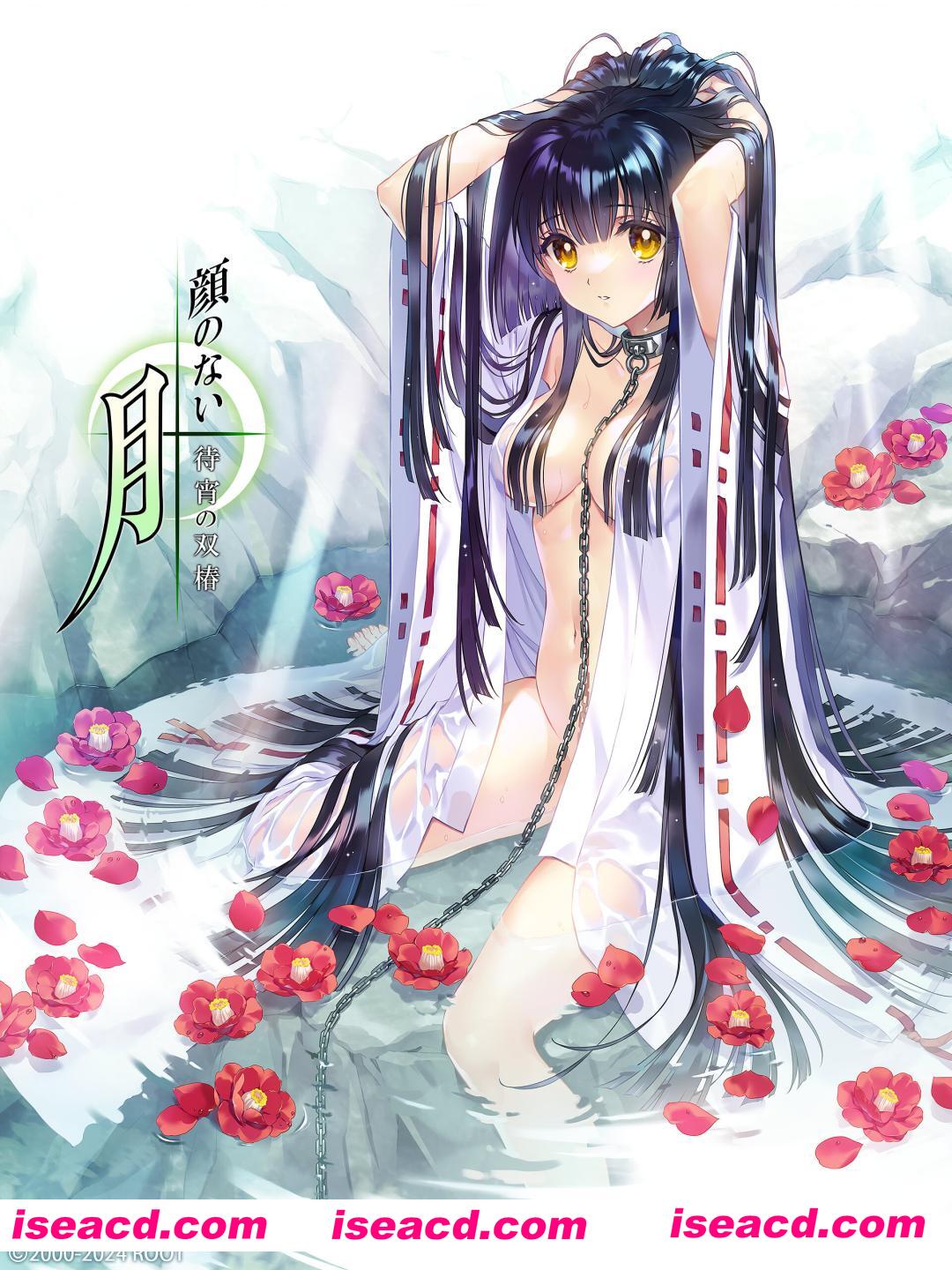 【启蒙大作ADV/汉化/精品/PC】无颜之月-待宵双椿 顔のない月-待宵の双椿- AI汉化内嵌版【2G/CV】