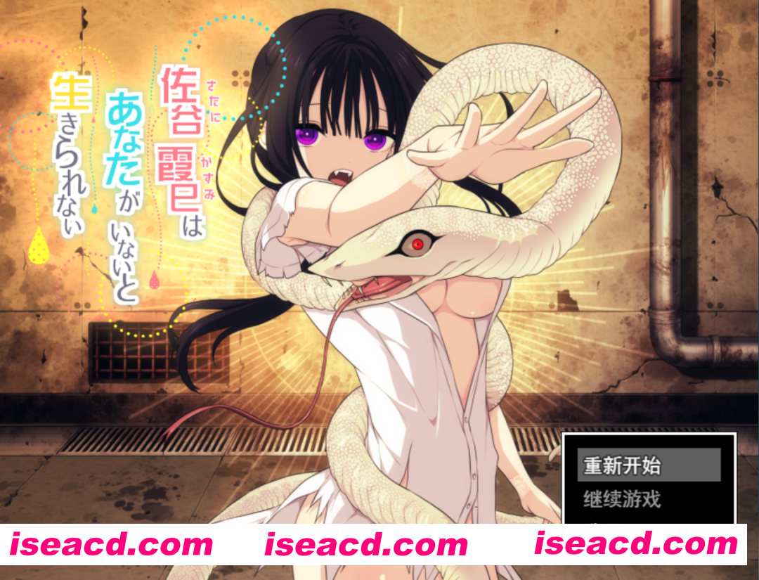 【精品RPG/汉化/换装/同居/背德/羞耻/PC】佐谷霞没有你就活不下去 佐谷霞巳はあなたがいないと生きられない Ver1.10 Mtool汉化【1.35G】