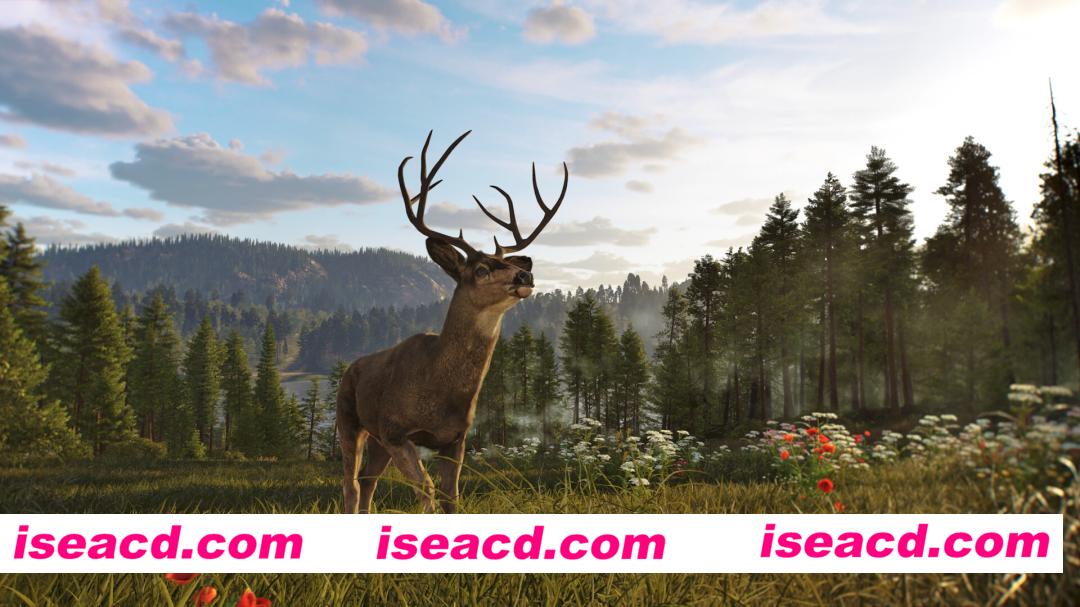 [ARPG/中文/3D] 狩猎之道2/Way of the Hunter 2 Build.22521819 官方中文版 [16G/新作]